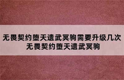 无畏契约堕天遗武冥驹需要升级几次 无畏契约堕天遗武冥驹